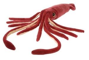 National Geographic: Humboldt Squid Plush Image