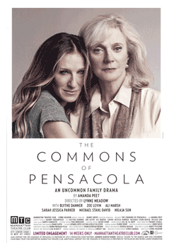 The Commons of Pensacola Poster Image